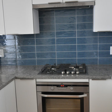 Modern Small Condo Kitchen