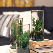 terrarios mini jardin