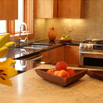 Mendota Heights Modern