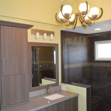 Organic Contemporary Master Bathroom Remodel in Arvada