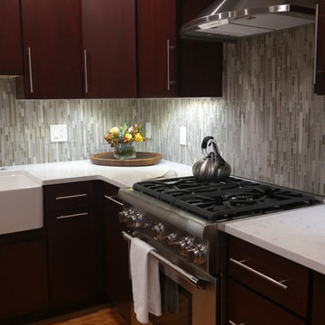 Rattlesnake Transitional Kitchen