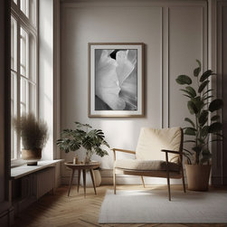September 2023 Catalog Sample - Photographs