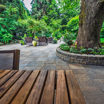 Natural Greenery Outdoor Living Family Backyard