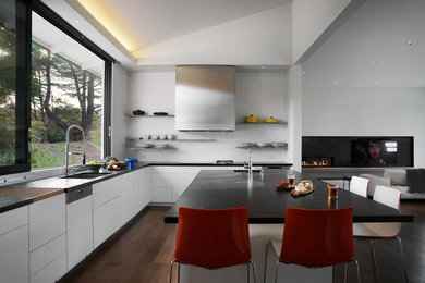 Example of a trendy kitchen design in San Francisco