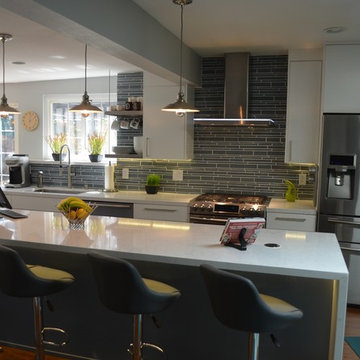 Modern Kitchen Remodel