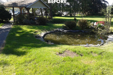 Melissa's Pond Renovation
