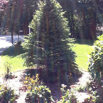 Landscape Gallery