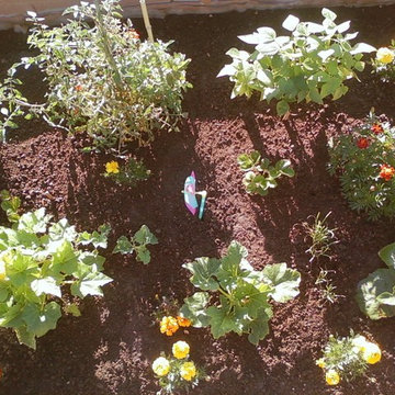 Concrete Block Raised Vegetable & Flower Garden