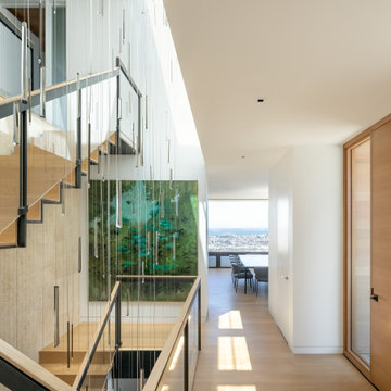 Sutro Heights Modern