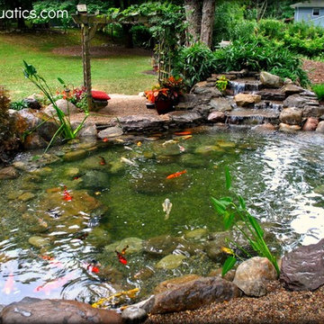 Koi Pond Water Garden