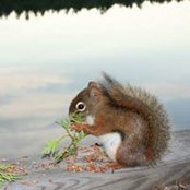 Cathy Ramsdens foto