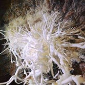 Eleonora Bettini's photo