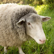 Peter Binek's photo
