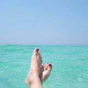 Julie Steiner's photo