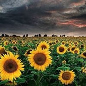 JD Feltz's photo
