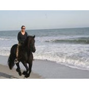 Robin Daum's photo