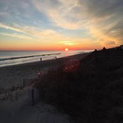 Marion Roden's photo