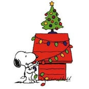 Gina Leonard's photo