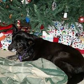 Kim Gardner's photo