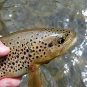 Timothy Hansen's photo