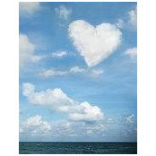 Robin Balletto-Donohue's photo