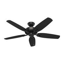 CEILING FANS