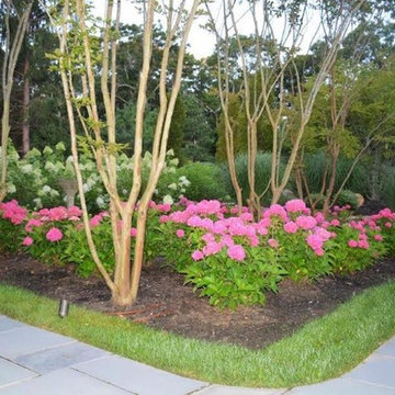 Landscape In the Hamptons