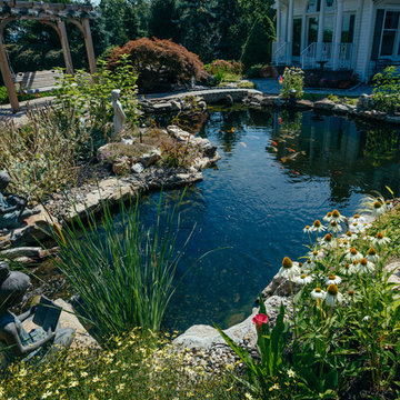Outdoor Koi Pond
