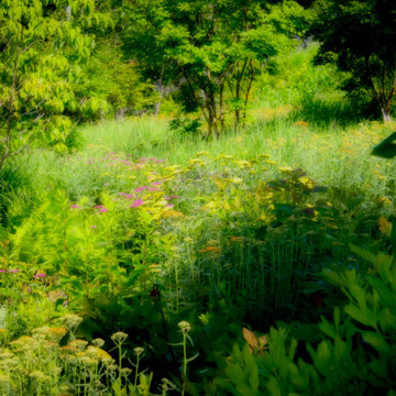 The Meadows at 2 Holes of Water East Hampton NY