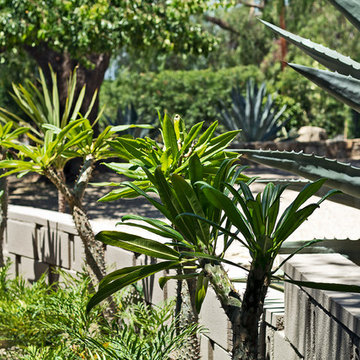 New 1-Year-Old Garden