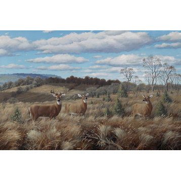 Marcel Bordei, Afternoon Watch, White Tailed Deer, Oil Painting