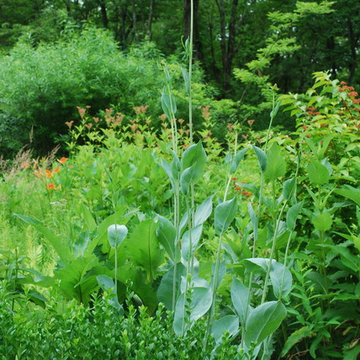 James Golden's Garden at Federal Twist