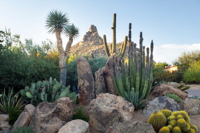 Photo of a southwestern landscaping in Phoenix.