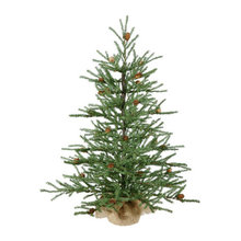 Wish List