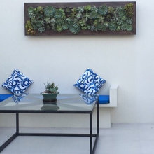 Garden/outdoor Ideas