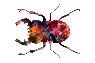 Watercolor Illustration Art Beetle
