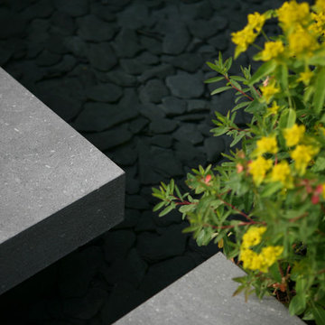 RHS Chelsea 2015 Telegraph Garden