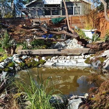 Zen Water project - ongoing