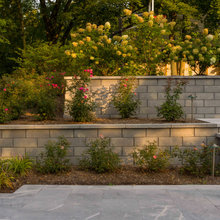 Retaining Wall - Path