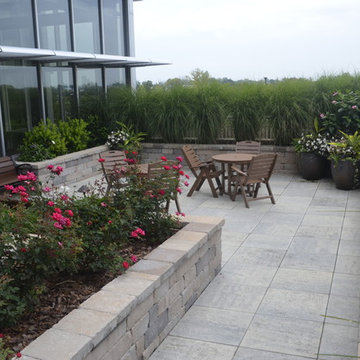 Healing Garden