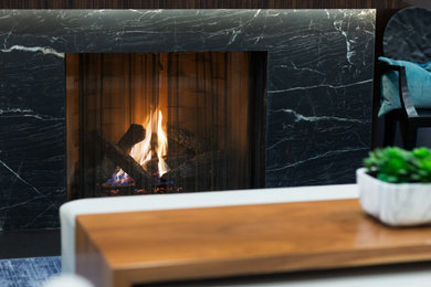 Living room - contemporary living room idea in Minneapolis with a standard fireplace and a stone fireplace