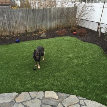 Dogs love turf!