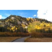 Aaron Thomas's photo