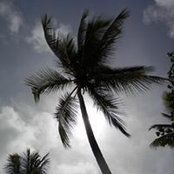Sharon Sullivan's photo