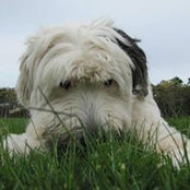 Nancy Murphy McGlone's photo