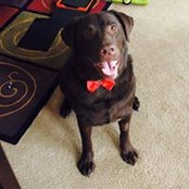 Jennifer Craven's photo