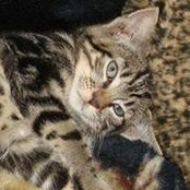 Marianna Sarkozy's photo