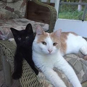 Stephanie Plehn's photo