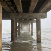 Nathan Brunner's photo