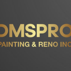 DMSPro Painting & Reno